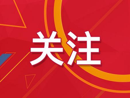 新澳门精准四肖期期准,精选资料解析大全