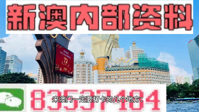 2024今晚澳门买什么,精选资料解析大全