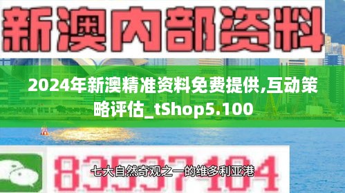 新澳2024年精准资料期期,精选解释解析落实