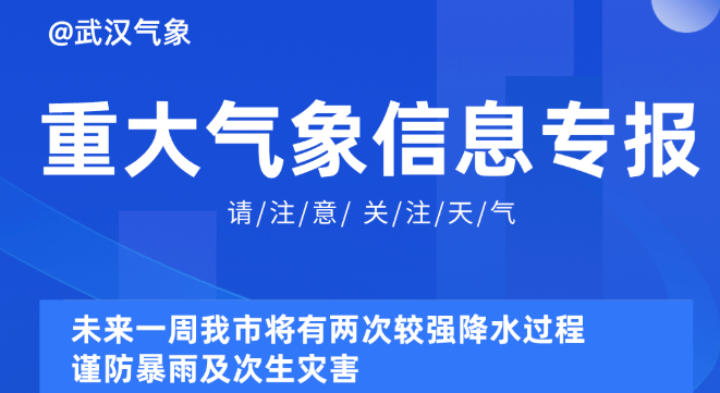 探索未来,2024新奥资料免费精准|文明解释解析落实